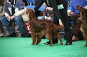 Crufts2011 014